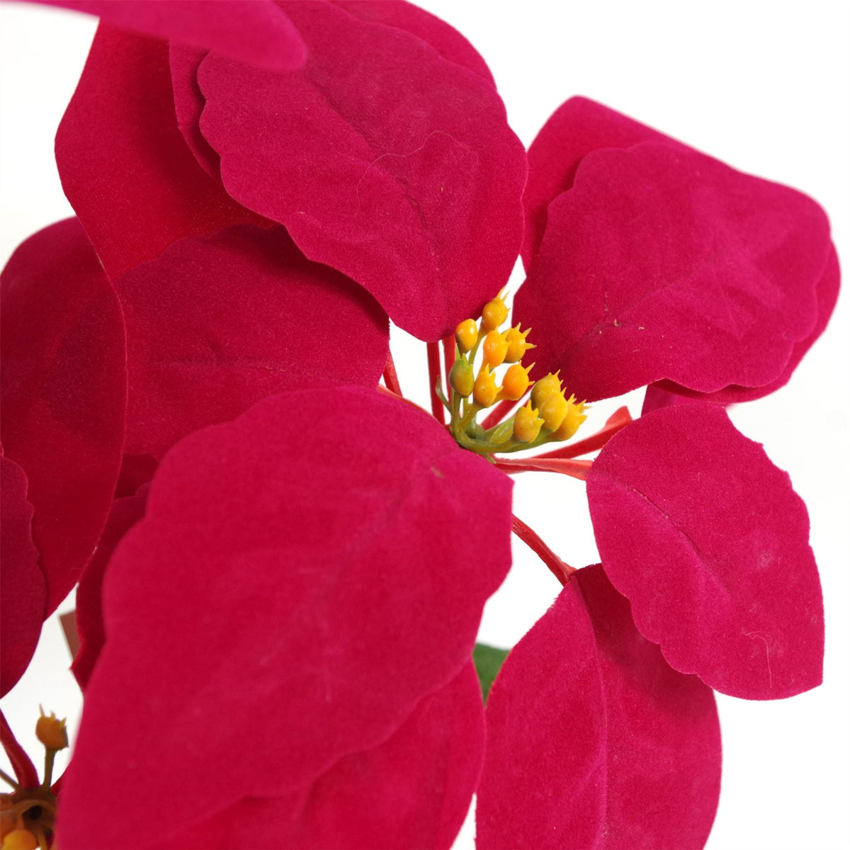Artificial Red Poinsettia Plant 40 cm _ Faux Christmas Houseplant Decoration