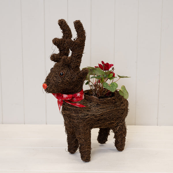 Standing Reindeer Planter with Christmas Scarf