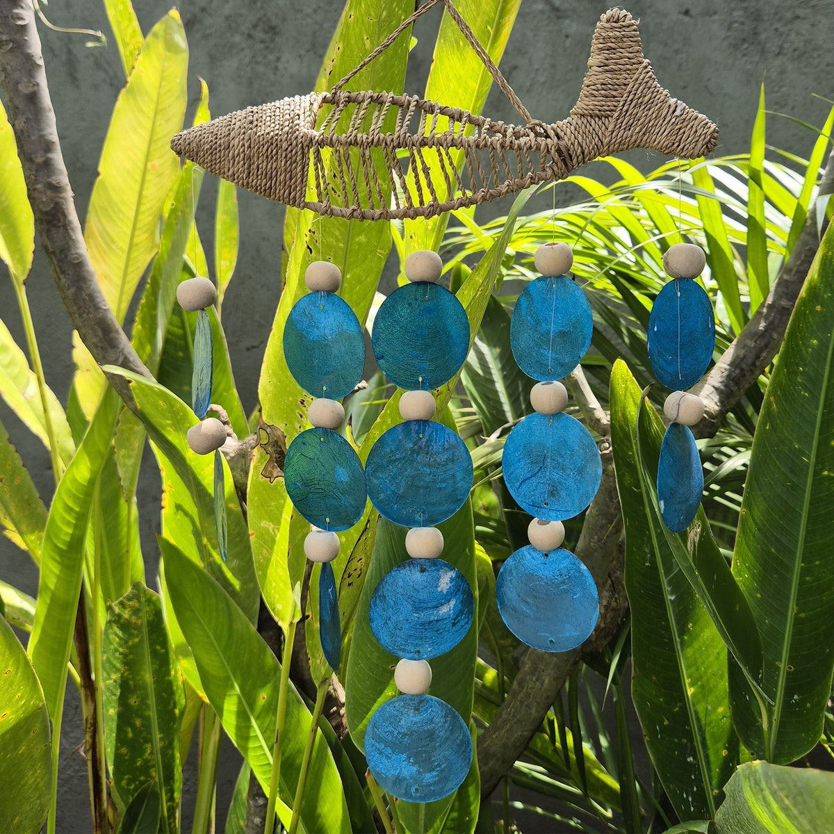 String Fish And Blue Copis Drop
