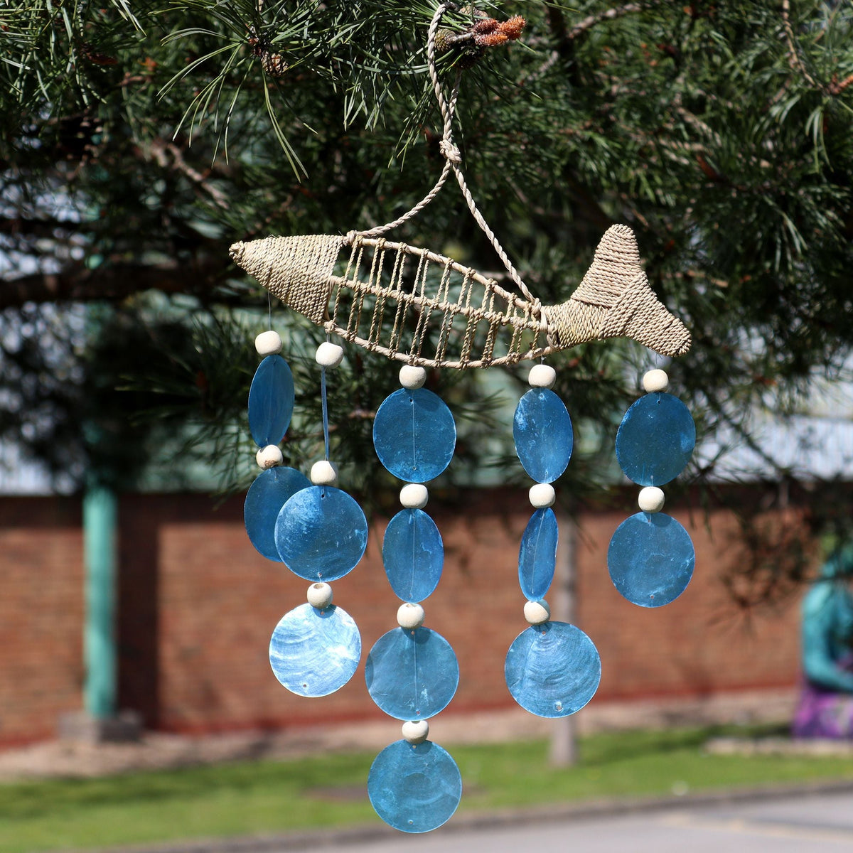 String Fish And Blue Copis Drop